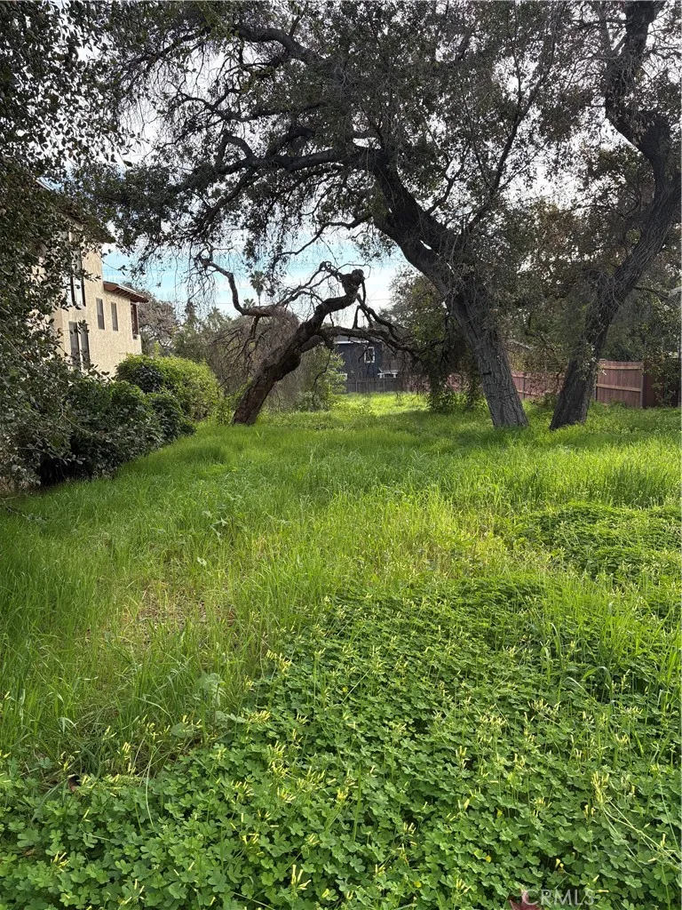 0 Mariposa, Sierra Madre, CA 91024 - Photo 3 of 4, Sierra Madre, CA