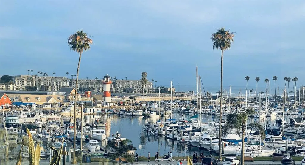 Photo #22: NDP2600758 Listing: Photo #22