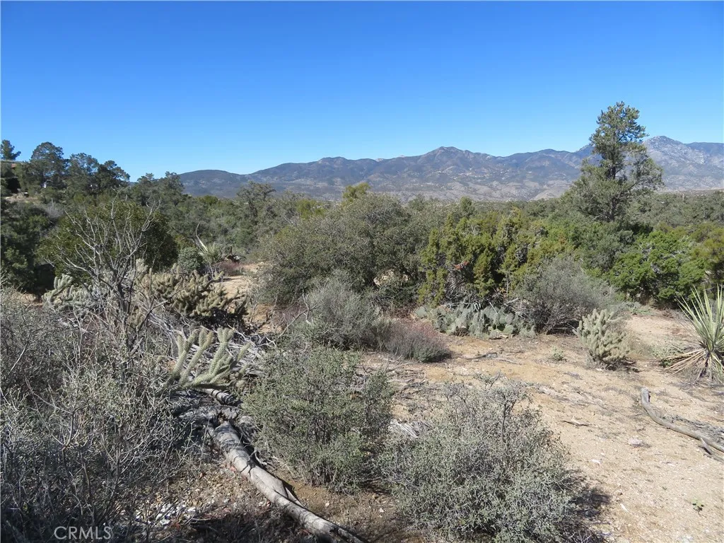 155 Lot UNIT&nbsp;155 Buckthorn, Mountain Center, CA, 92561
