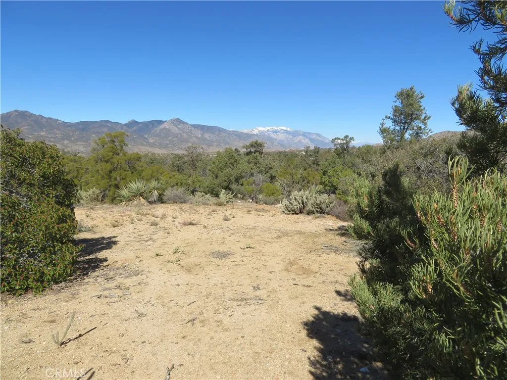 155 Lot UNIT&nbsp;155 Buckthorn, Mountain Center, CA, 92561