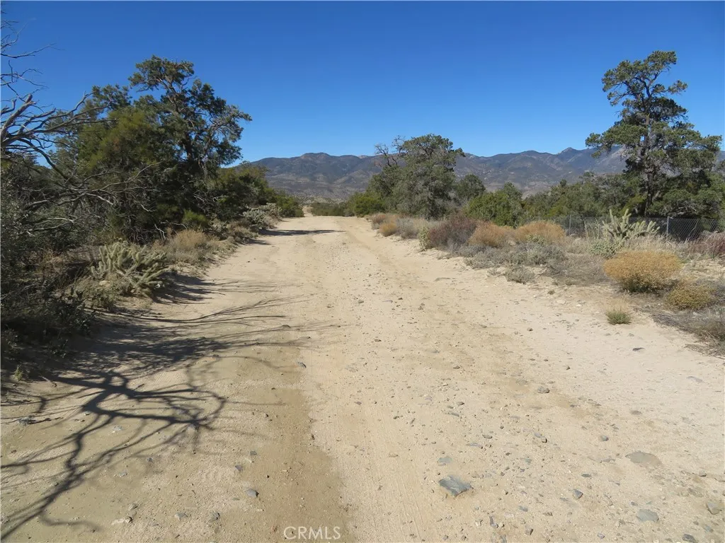 155 Lot UNIT&nbsp;155 Buckthorn, Mountain Center, CA, 92561