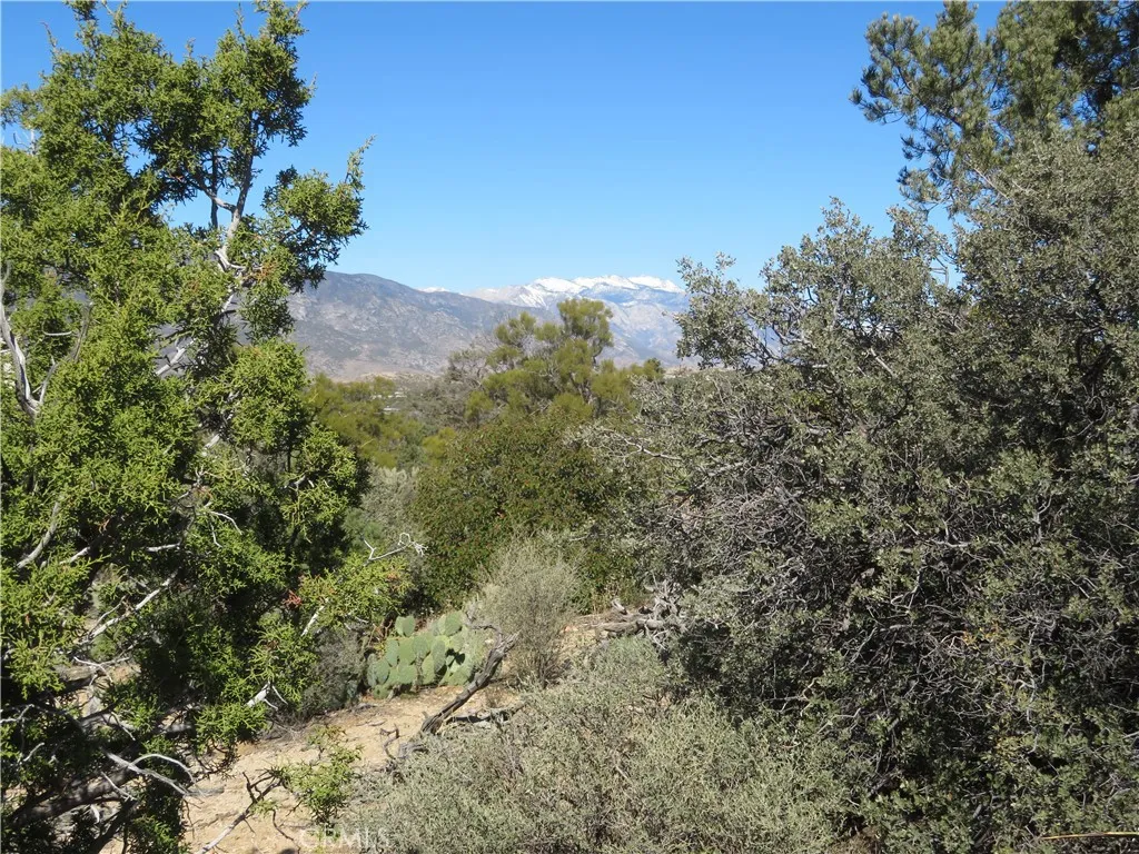 155 Lot UNIT&nbsp;155 Buckthorn, Mountain Center, CA, 92561