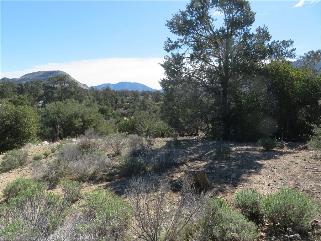 155 Lot UNIT&nbsp;155 Buckthorn, Mountain Center, CA, 92561