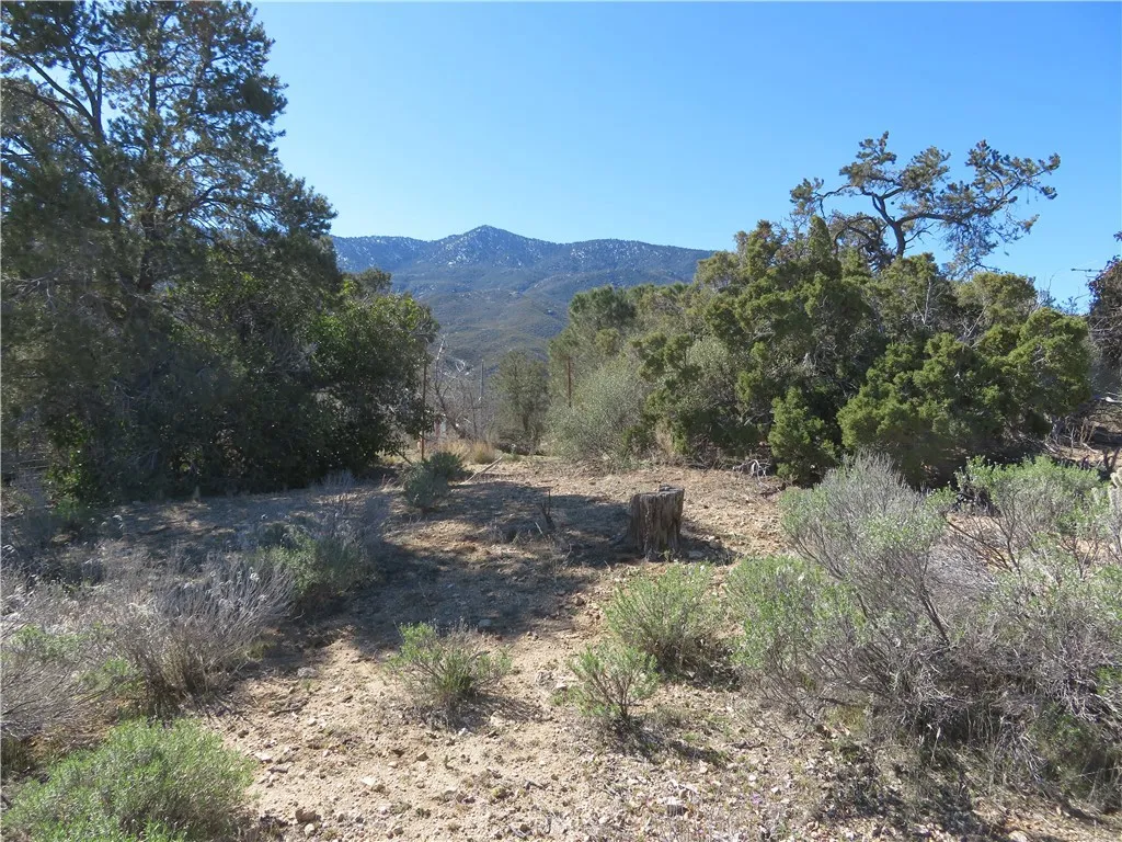 155 Lot UNIT&nbsp;155 Buckthorn, Mountain Center, CA, 92561
