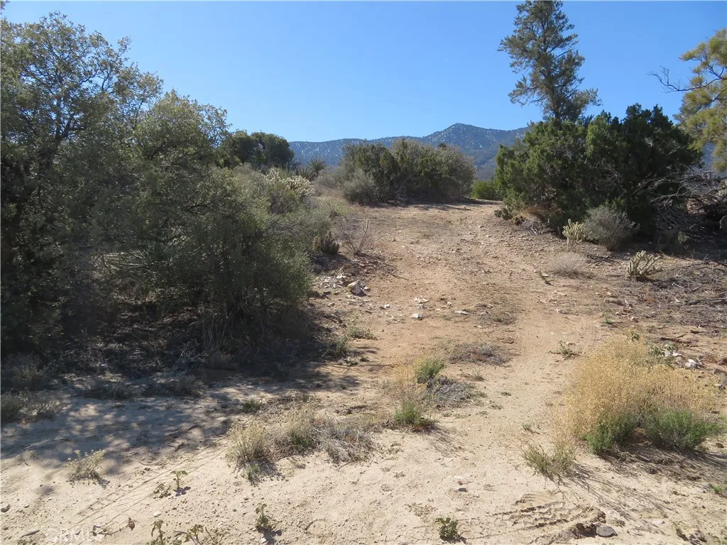 155 Lot UNIT&nbsp;155 Buckthorn, Mountain Center, CA, 92561