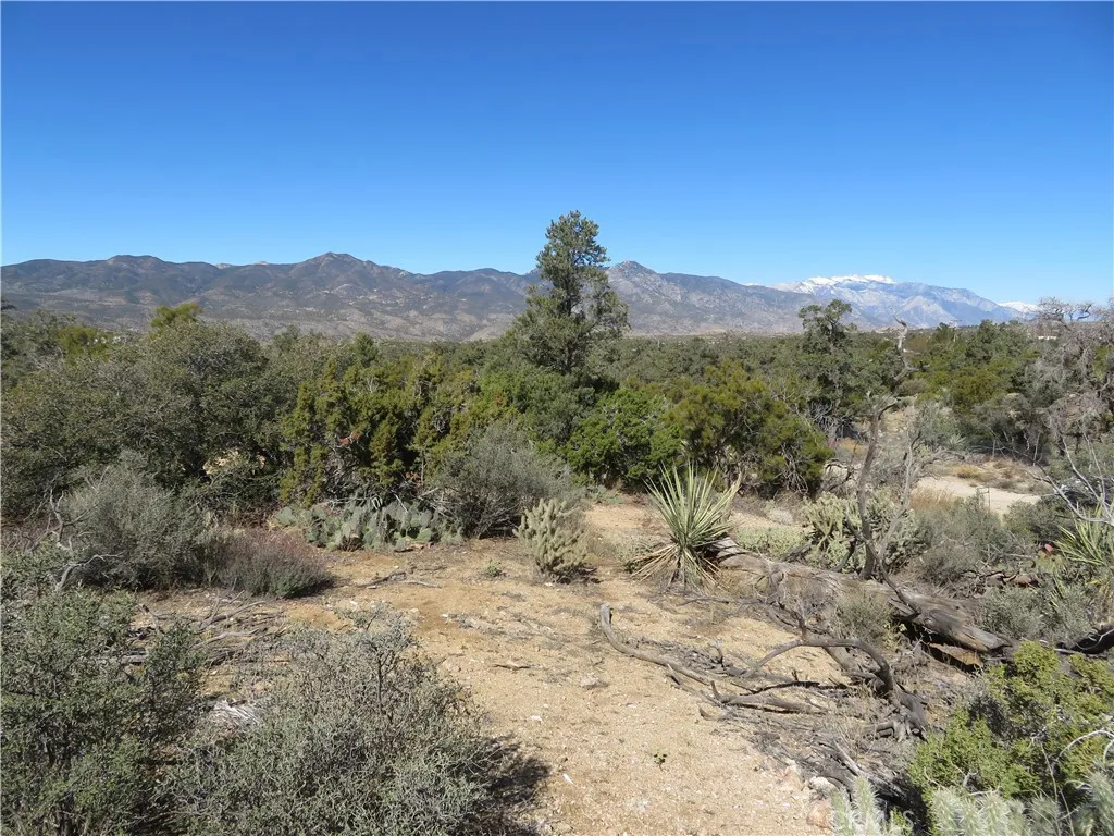 155 Lot UNIT&nbsp;155 Buckthorn, Mountain Center, CA, 92561
