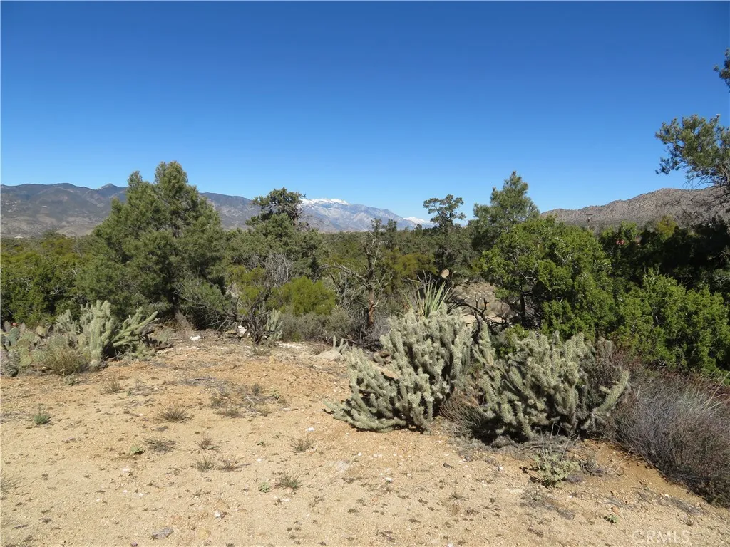 155 Lot UNIT&nbsp;155 Buckthorn, Mountain Center, CA, 92561