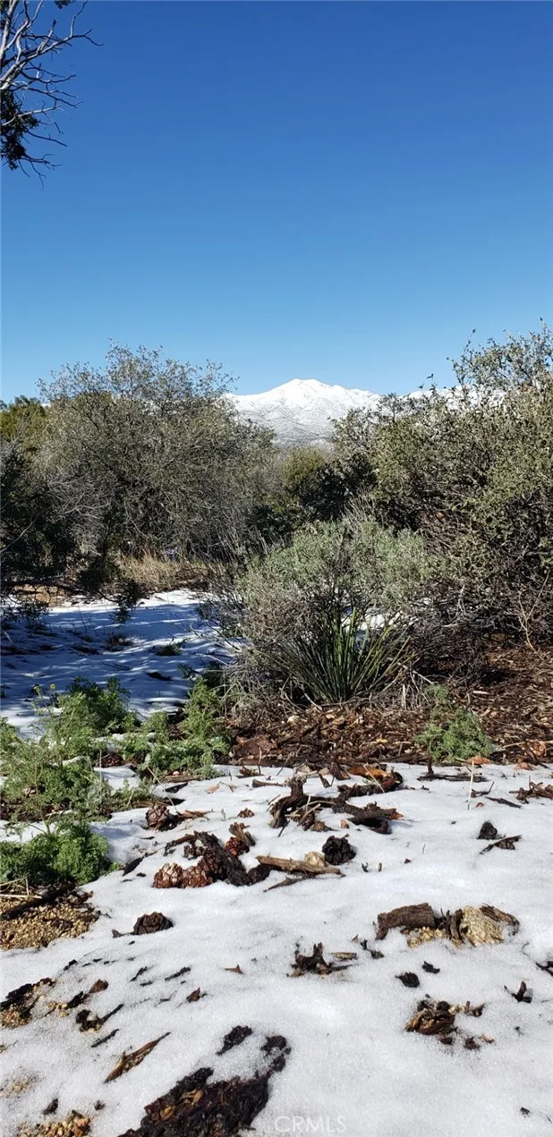 155 Lot UNIT&nbsp;155 Buckthorn, Mountain Center, CA, 92561