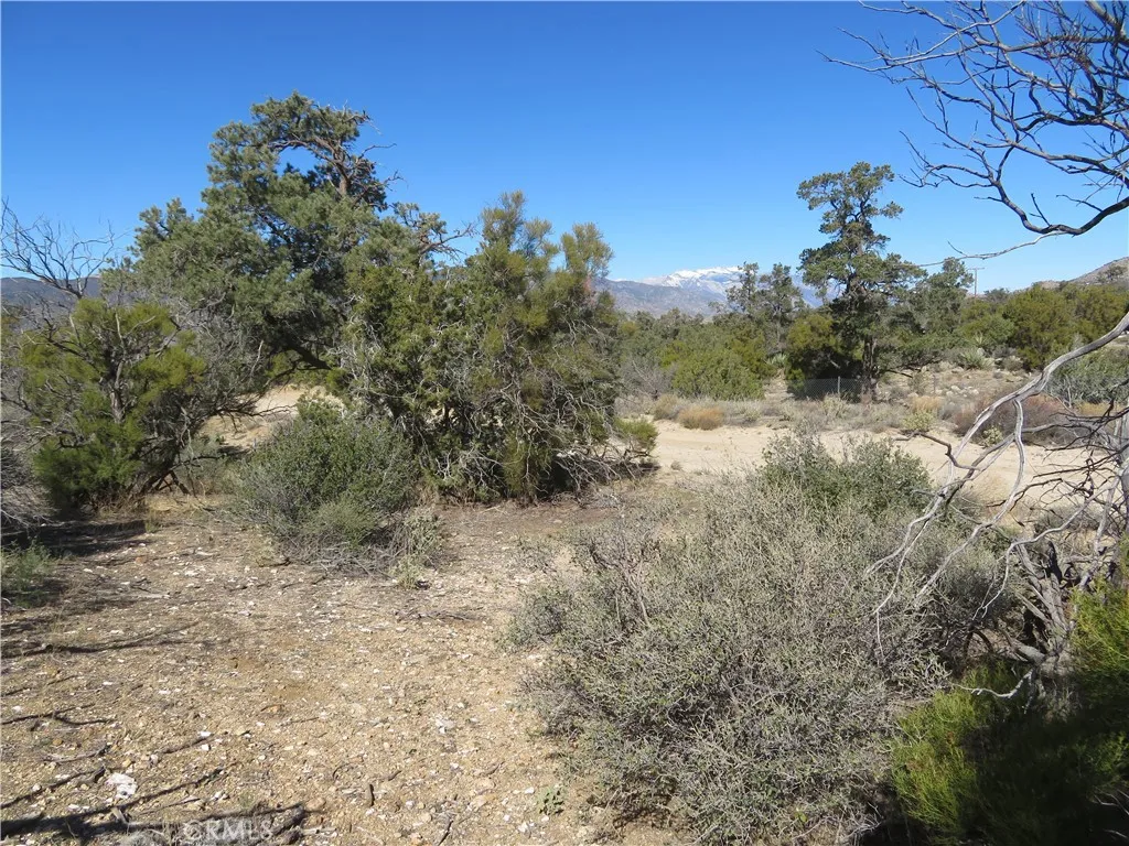 155 Lot UNIT&nbsp;155 Buckthorn, Mountain Center, CA, 92561