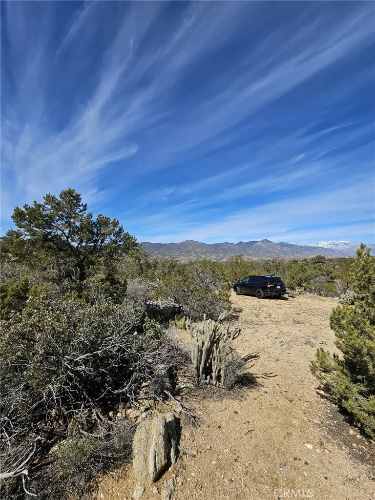 155 Lot UNIT&nbsp;155 Buckthorn, Mountain Center, CA, 92561