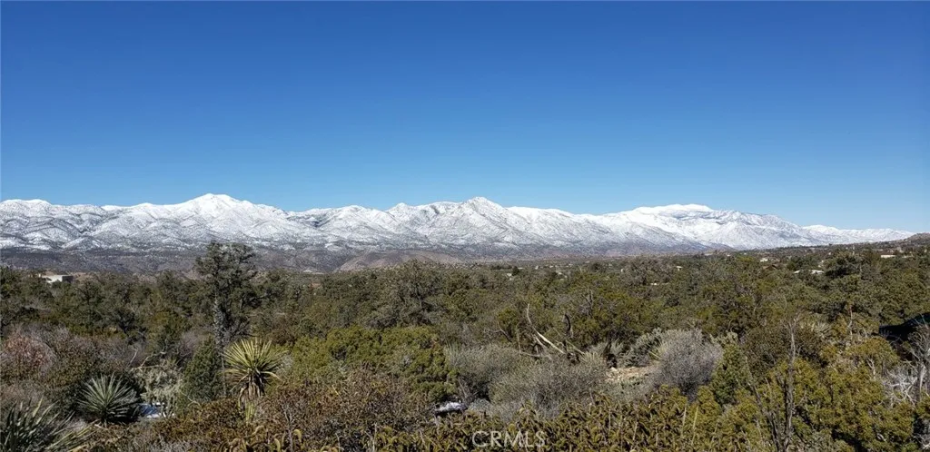 155 Lot UNIT&nbsp;155 Buckthorn, Mountain Center, CA, 92561