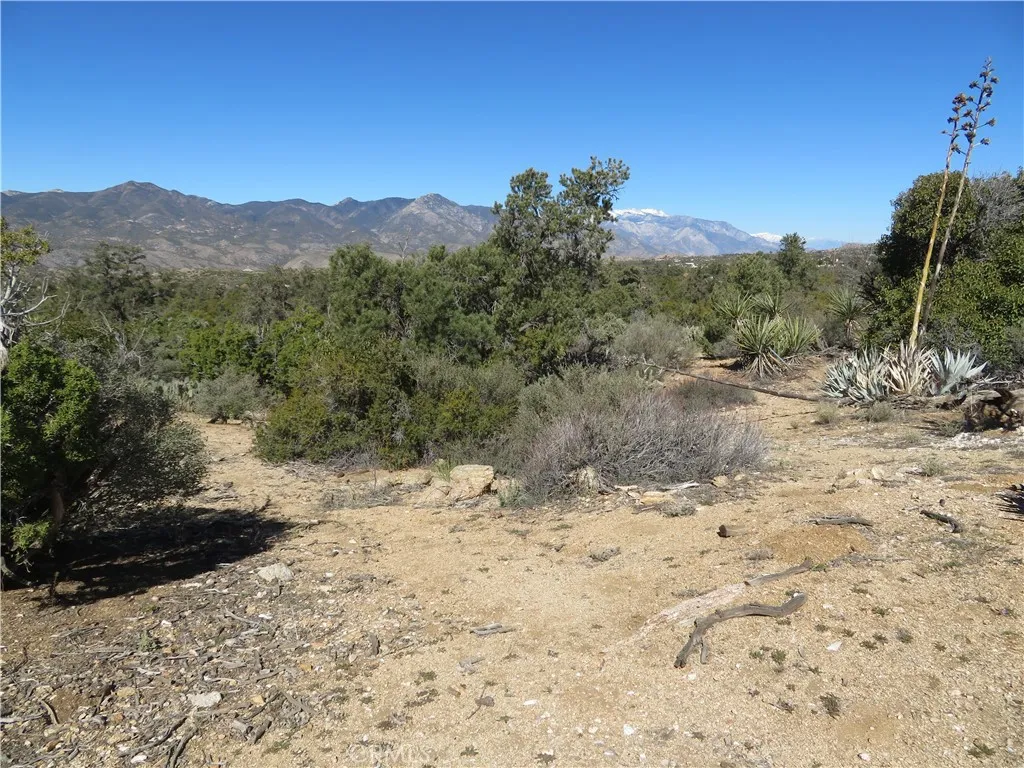 155 Lot UNIT&nbsp;155 Buckthorn, Mountain Center, CA, 92561