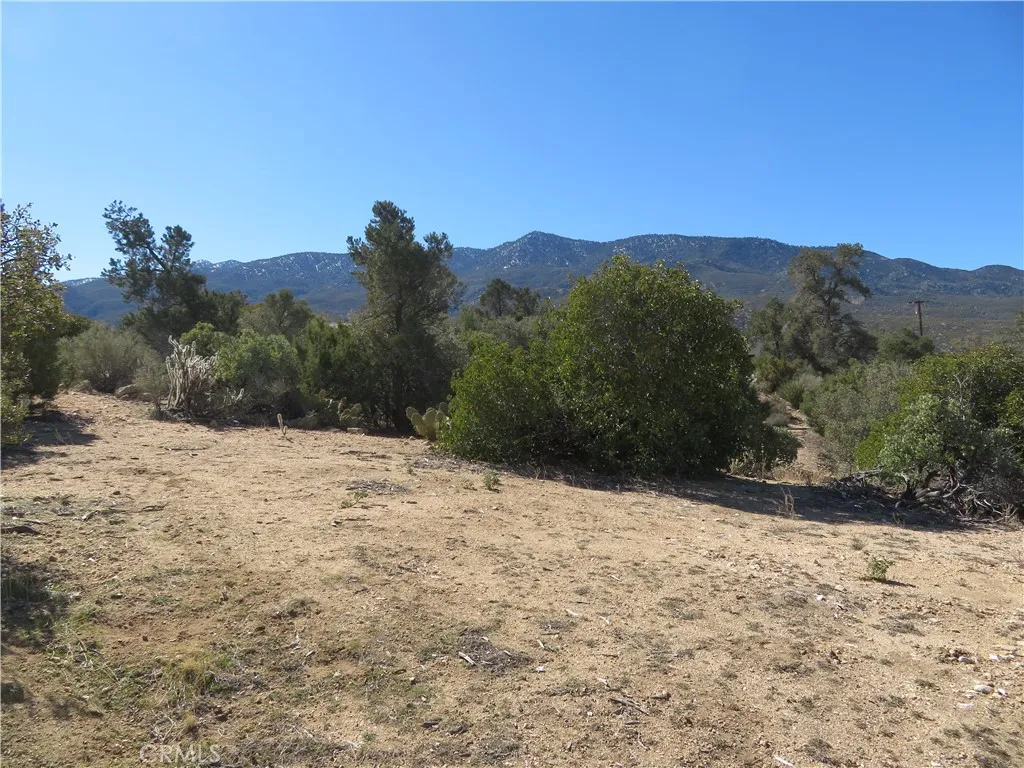 155 Lot UNIT&nbsp;155 Buckthorn, Mountain Center, CA, 92561