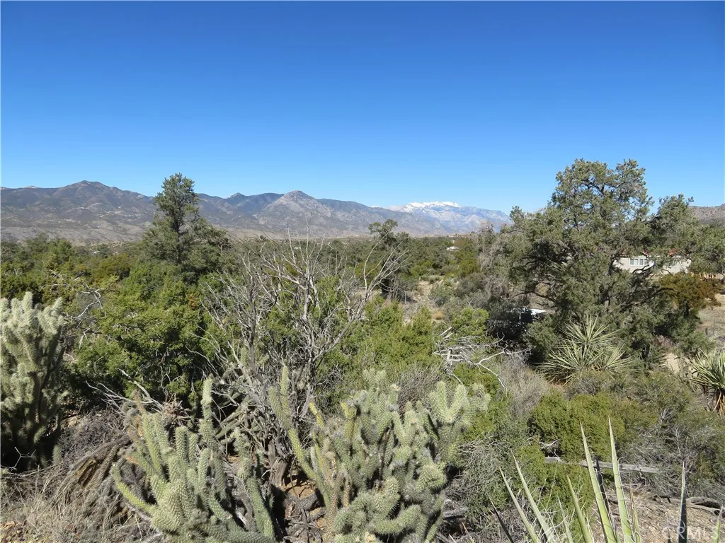 155 Lot UNIT&nbsp;155 Buckthorn, Mountain Center, CA, 92561