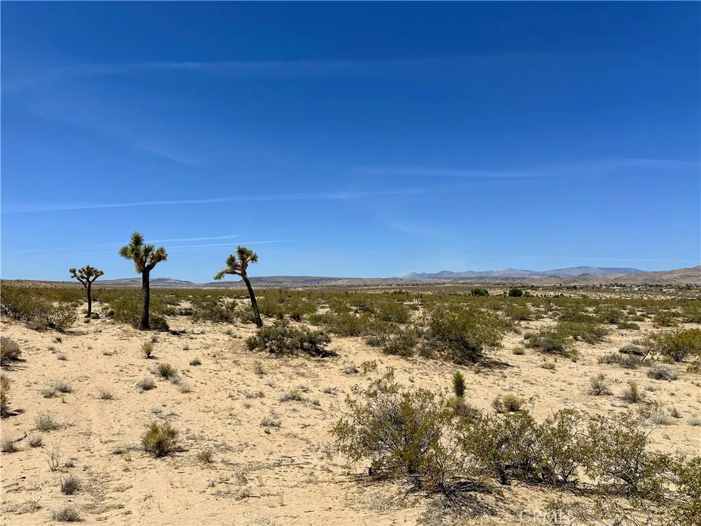 0 Amargo, Landers, CA 92285 - Main photo, Landers, CA