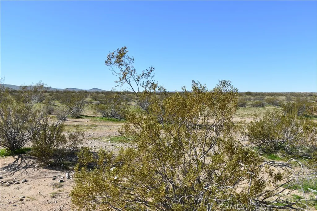 24 Frontier, Helendale, CA 92342 - Photo 5 of 31, Helendale, CA