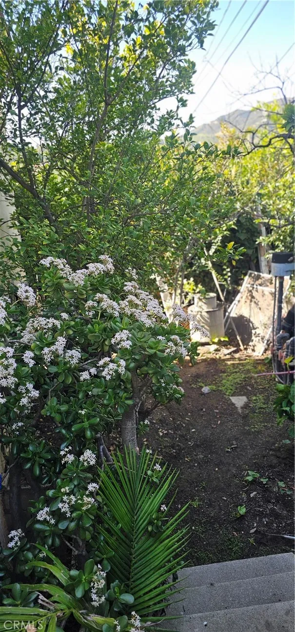 1823 Hillside Drive, Glendale, CA, 91208