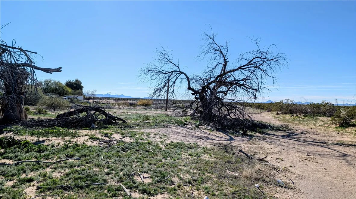 18241 Blythe, Blythe, CA 92225 - Photo 3 of 4, Blythe, CA