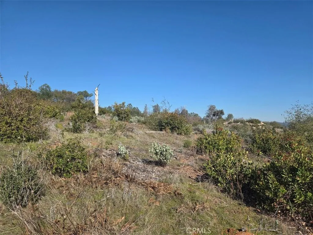 0 Nikki Jo, Oroville, CA 95966 - Photo 3 of 22, Oroville, CA