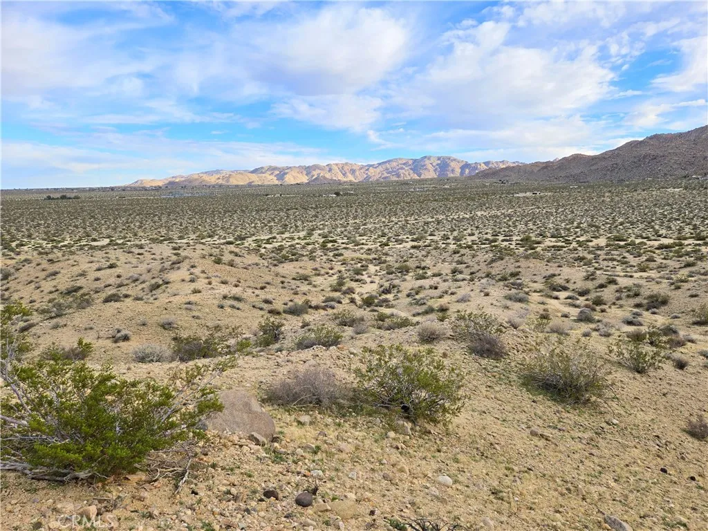 6200 Lee, Joshua Tree, CA 92277 - Photo 5 of 14, Joshua Tree, CA