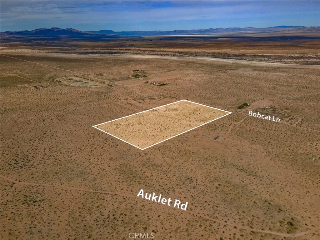 123 Bobcat Lane, Newberry Springs, CA 92365 - Photo 2 of 21, Newberry Springs, CA