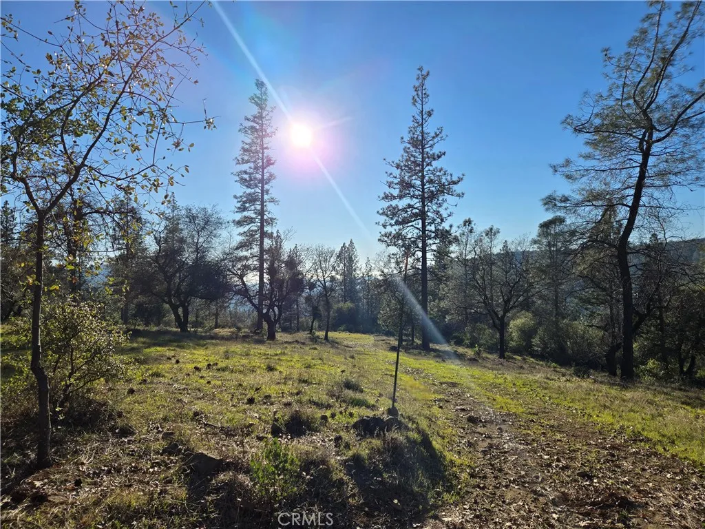 0 Double Eagle Way, Brownsville, CA 95919 - Photo 2 of 34, Brownsville, CA