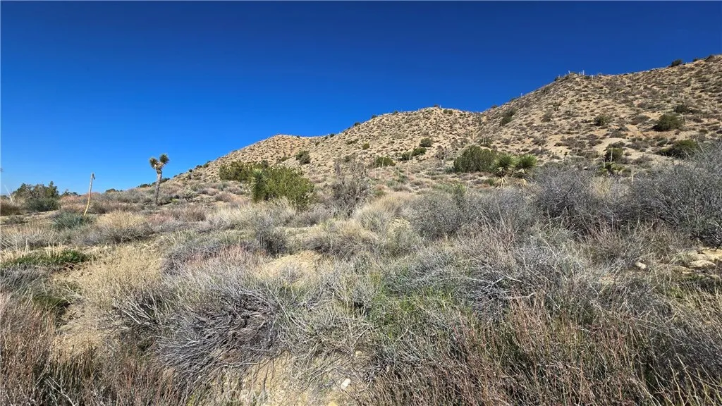 0 Pinon Road To Mescal Highlands, Llano, CA 93544 - Photo 3 of 31, Llano, CA