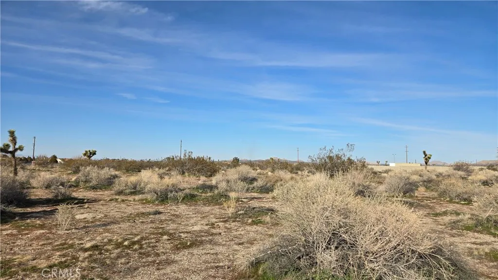 0 115th St East S/o Ave S South, Littlerock, CA 93543 - Photo 4 of 21, Littlerock, CA