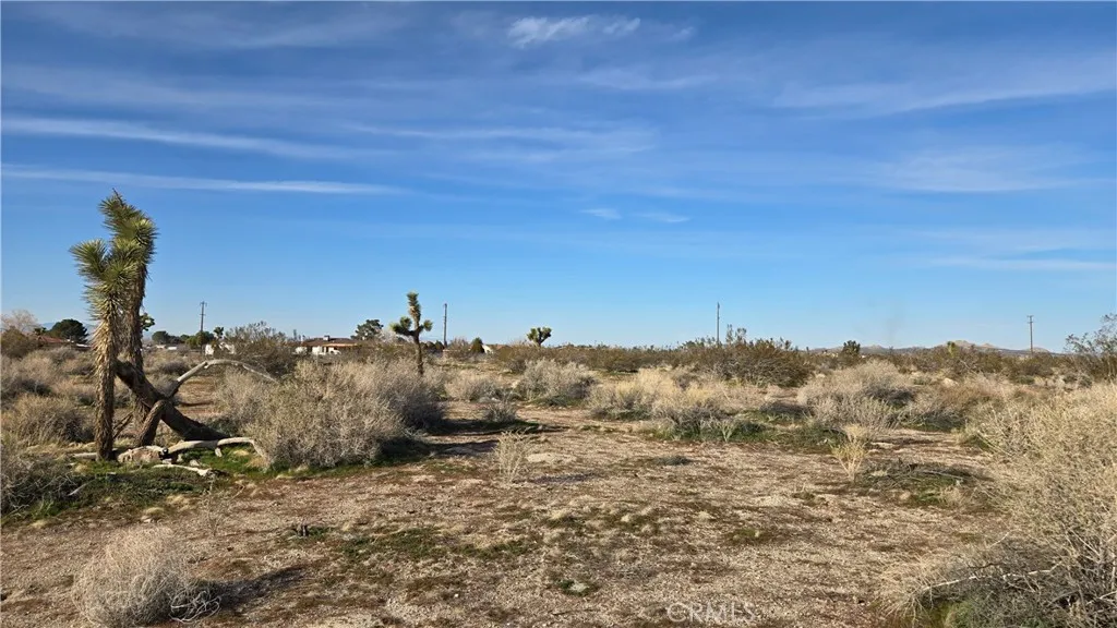 0 115th St East S/o Ave S South, Littlerock, CA 93543 - Photo 3 of 21, Littlerock, CA