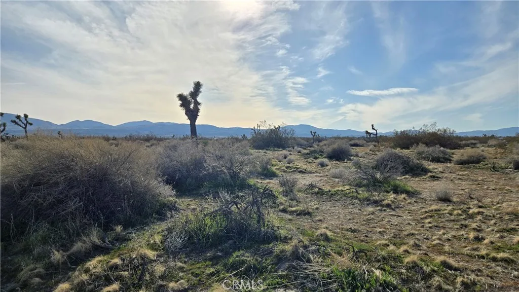 0 115th St East S/o Ave S South, Littlerock, CA 93543 - Photo 2 of 21, Littlerock, CA