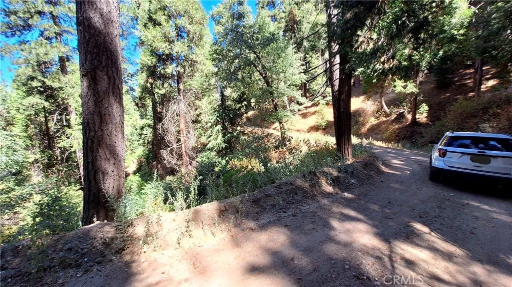 0 El Valle, Cedarpines Park, CA 92322 - Photo 3 of 6, Cedarpines Park, CA