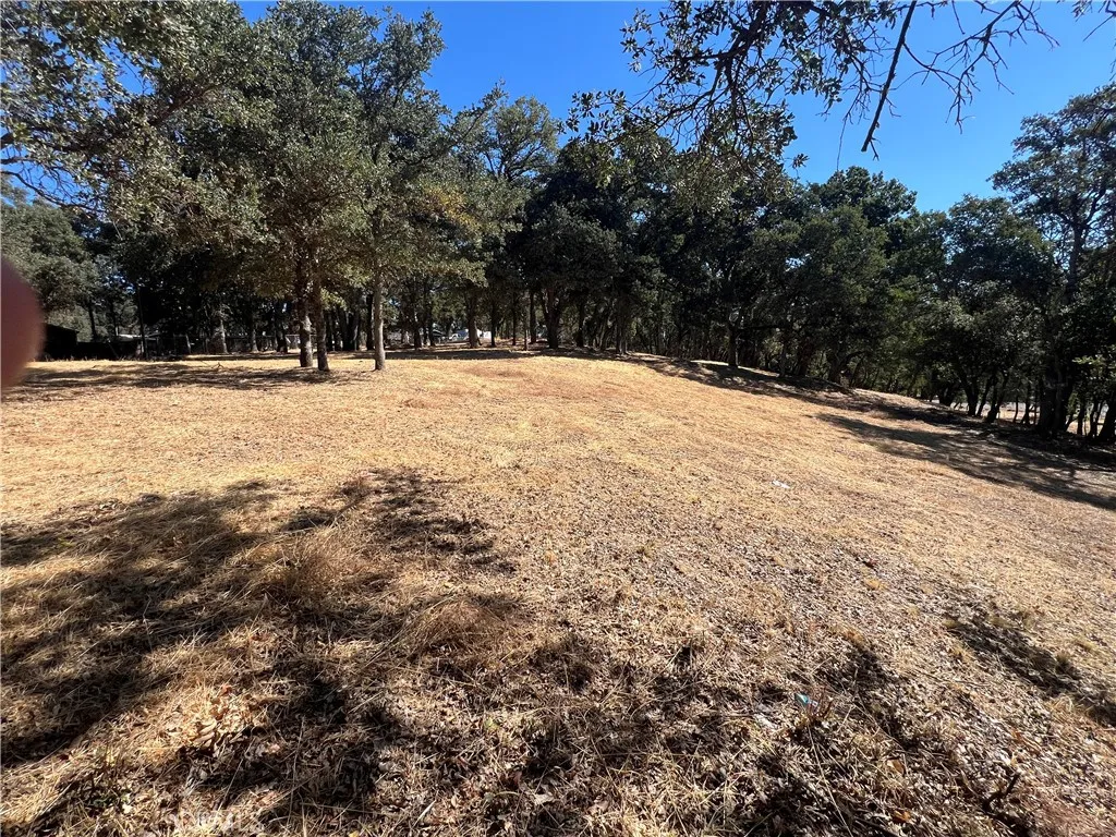 6060 Old Highway 53, Clearlake, CA 95422 - Photo 5 of 11, Clearlake, CA