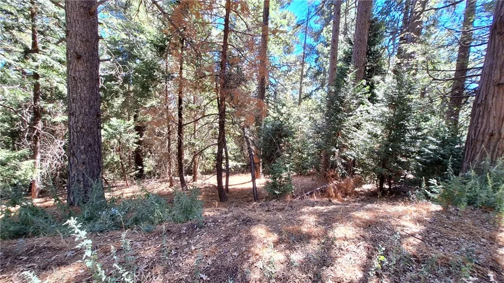 0 Cedar Pines, Cedarpines Park, CA 92322 - Photo 2 of 5, Cedarpines Park, CA