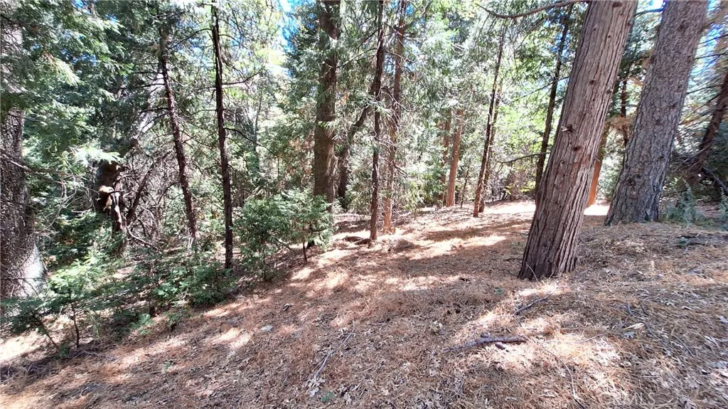 Cedarpines Park, CA 92322