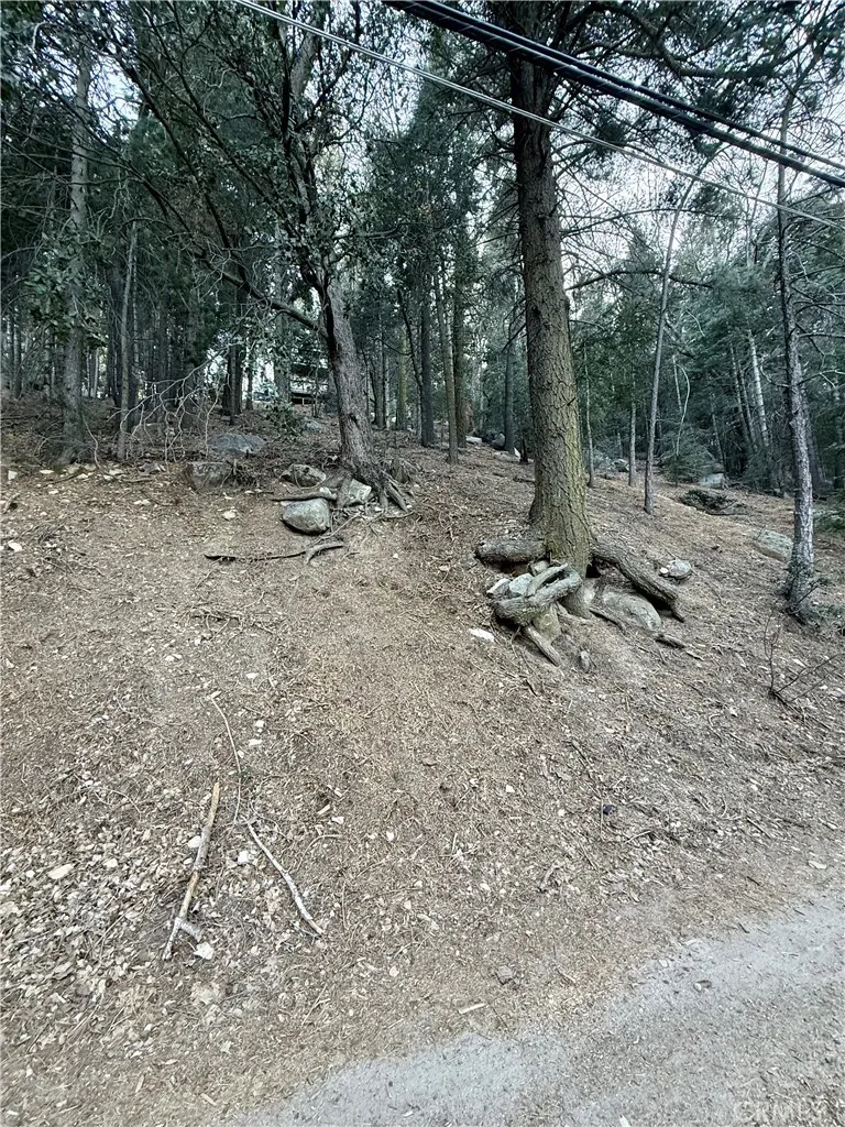 0 Scenic View, Crestline, CA 92325 - Photo 3 of 25, Crestline, CA