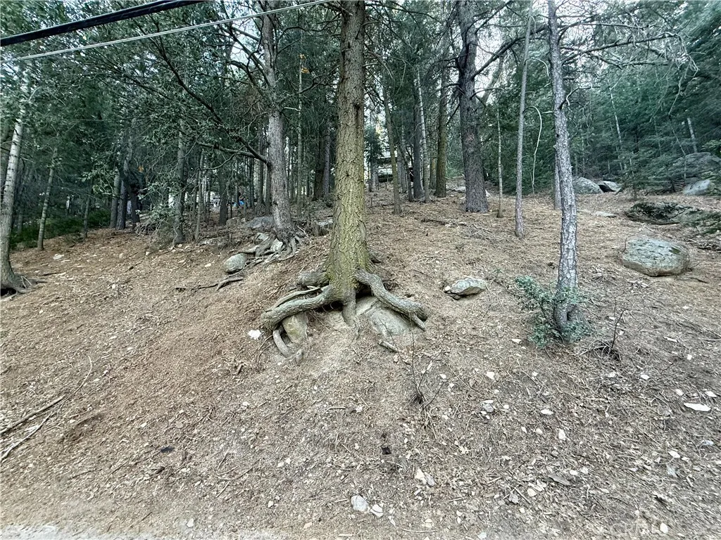 0 Scenic View, Crestline, CA 92325 - Main photo, Crestline, CA