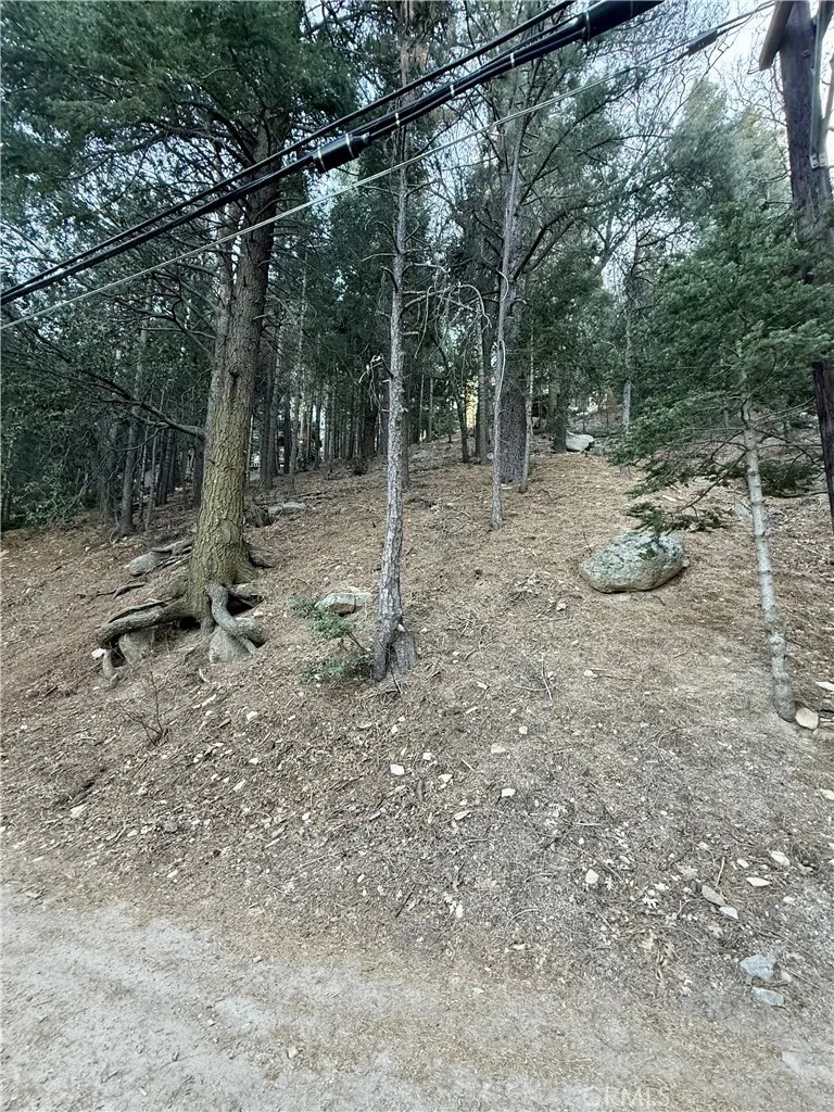 0 Scenic View, Crestline, CA 92325 - Photo 4 of 25, Crestline, CA