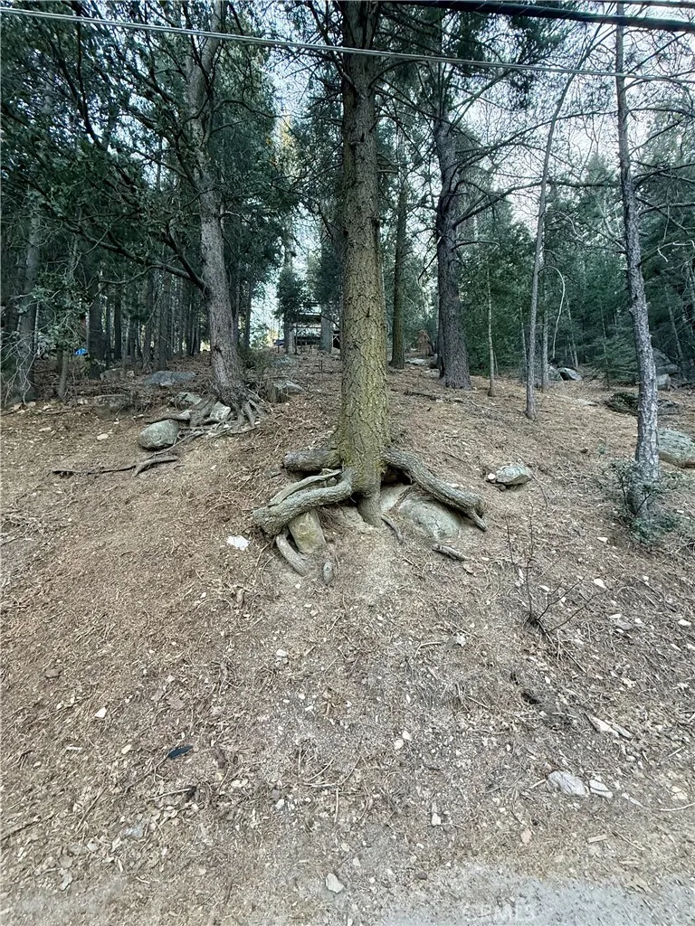 0 Scenic View, Crestline, CA 92325 - Photo 5 of 25, Crestline, CA