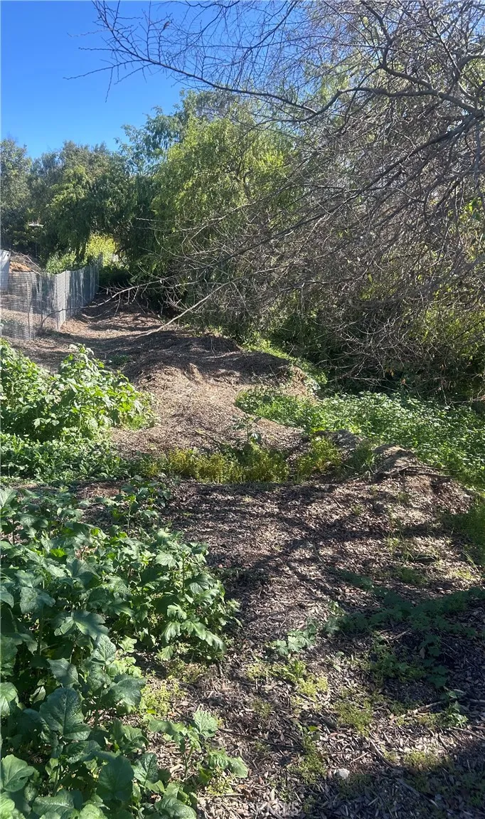 4042 Harriman, El Sereno, CA 90032 - Photo 3 of 4, El Sereno, CA