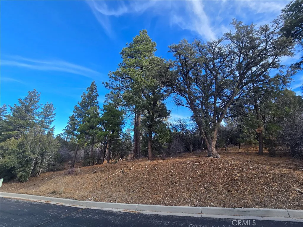 0 Woodbridge, Big Bear City, CA 92314 - Photo 4 of 7, Big Bear City, CA