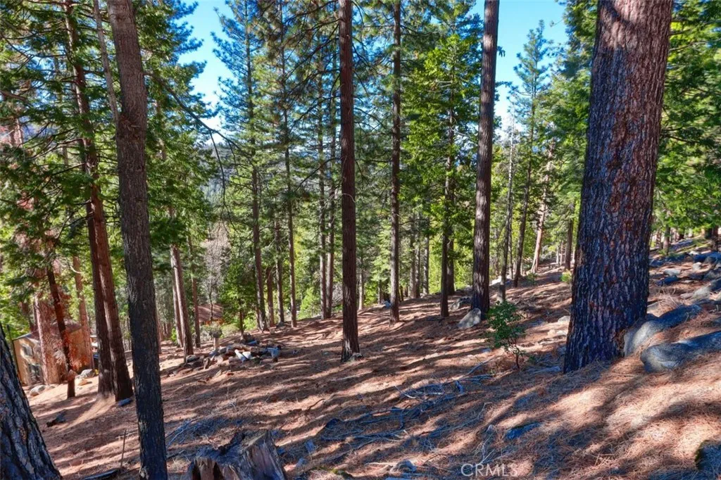 7349 Yosemite Park