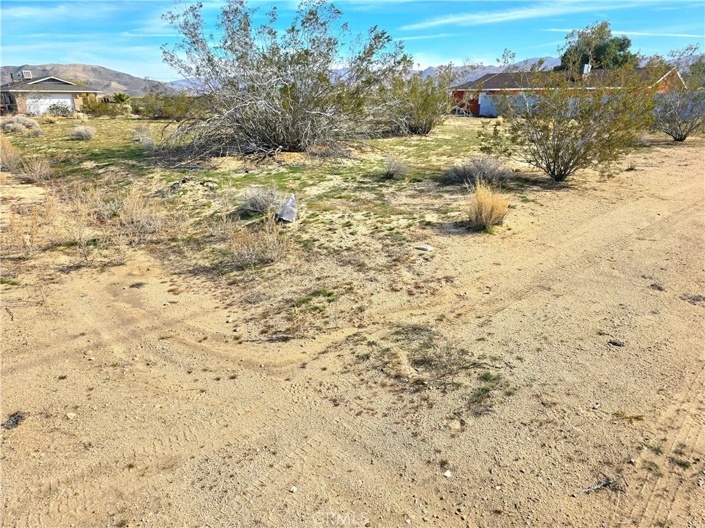 Joshua Tree, CA 92252