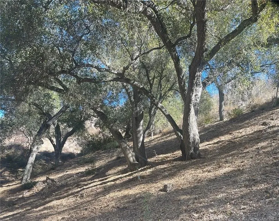 0 Stewart Canyon, Fallbrook, CA 92028 - Photo 4 of 19, Fallbrook, CA