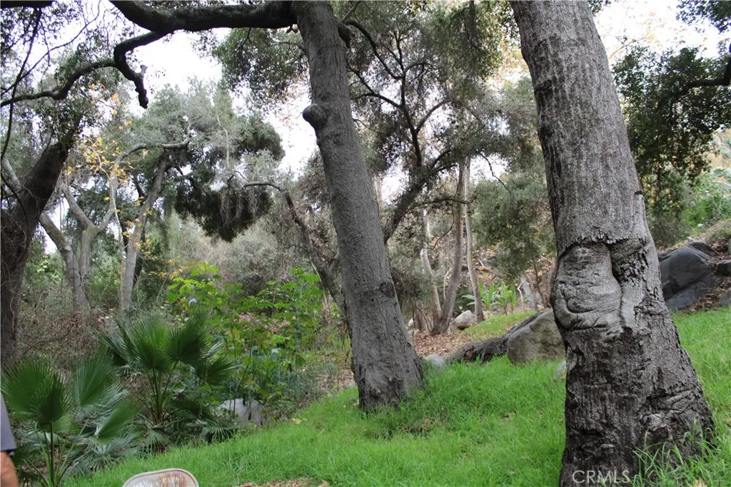 0 Buena Vista, Temecula, CA 92590 - Photo 4 of 10, Temecula, CA