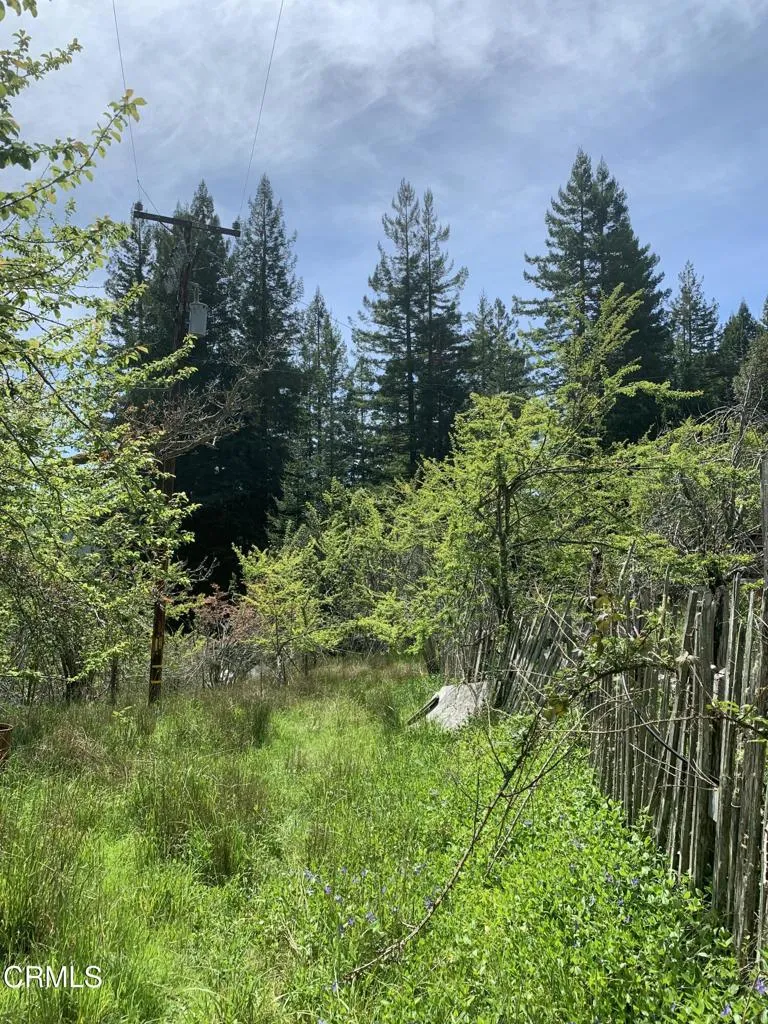 23501 Branscomb, Westport, CA 95488 - Photo 4 of 41, Westport, CA