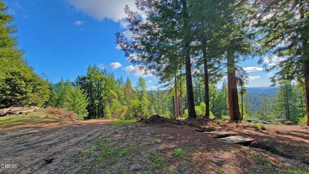 12301 Docker Hill, Comptche, CA 95427 - Photo 3 of 15, Comptche, CA