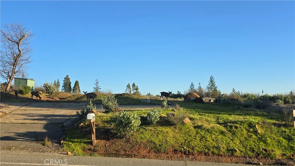 13668 W Park, Magalia, CA 95954 - Photo 4 of 7, Magalia, CA