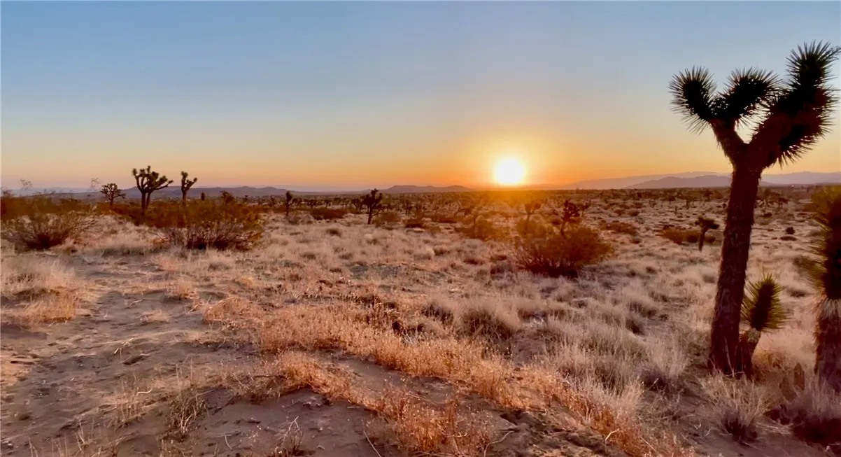 777 La Brisa, Yucca Valley, CA 92284 - Photo 2 of 43, Yucca Valley, CA