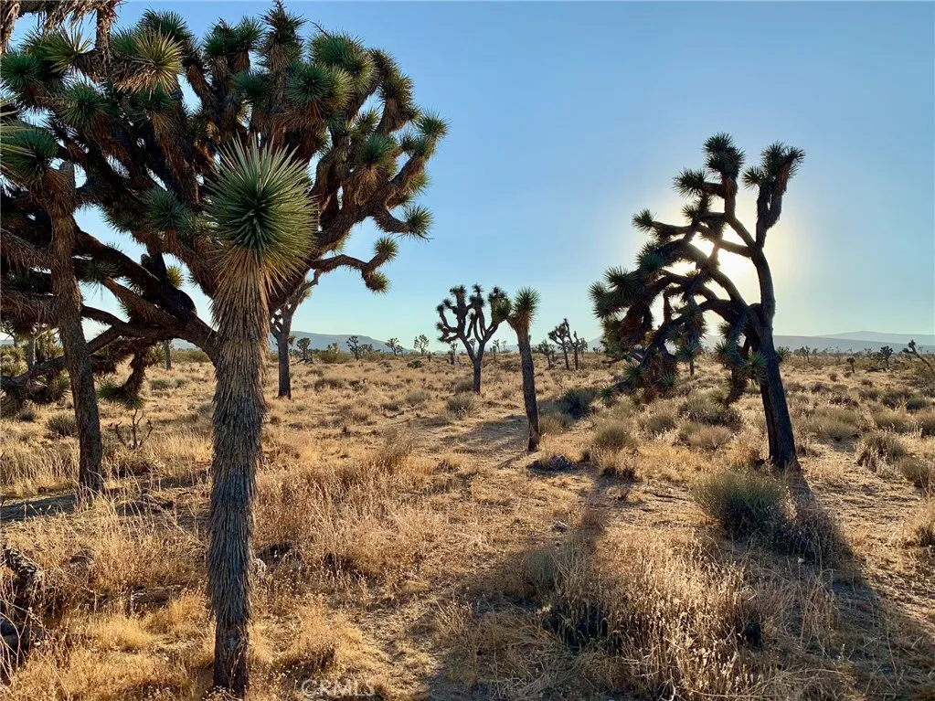 777 La Brisa, Yucca Valley, CA 92284 - Photo 4 of 43, Yucca Valley, CA
