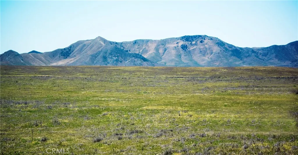 Santa Margarita, CA 93453